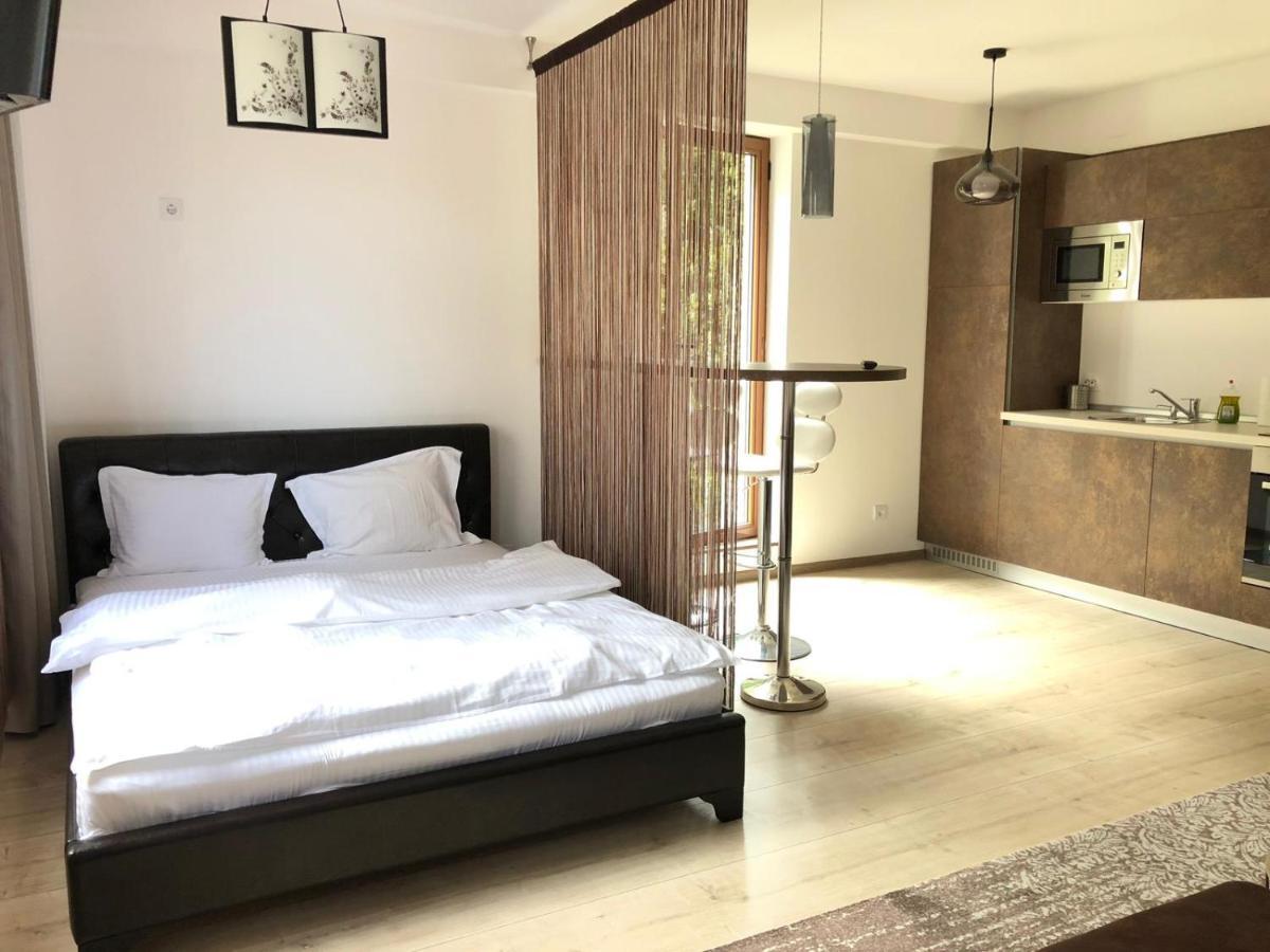 Iq Studio - Seasons Residence Брашов Екстер'єр фото